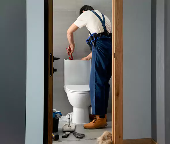 Professional Plumbers for Toilet Bowl Replacement in Santa Ana, CA: Schedule Affordable Toilet Replacement Services With Us