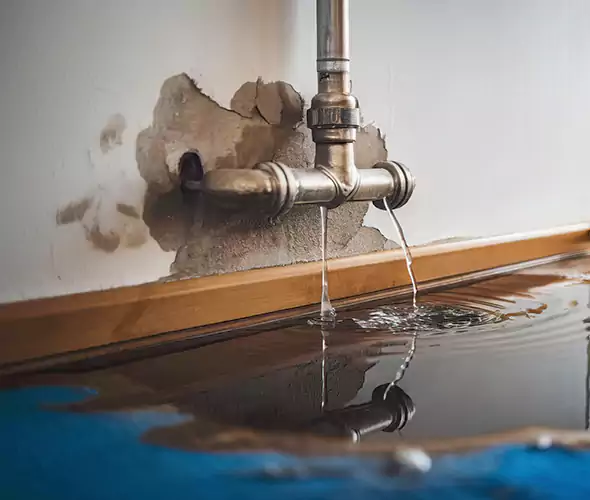 Professional Water Damage Restoration Experts in Santa Ana, CA — Fast, Reliable & Certified