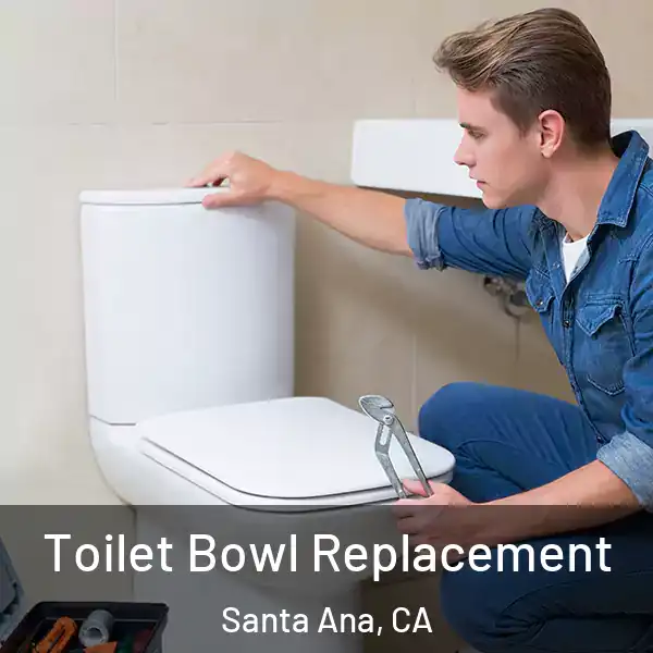  Toilet Bowl Replacement Santa Ana, CA