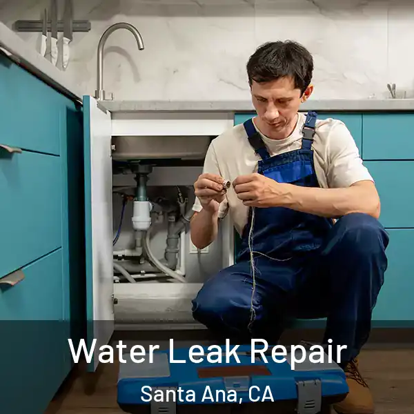  Water Leak Repair Santa Ana, CA